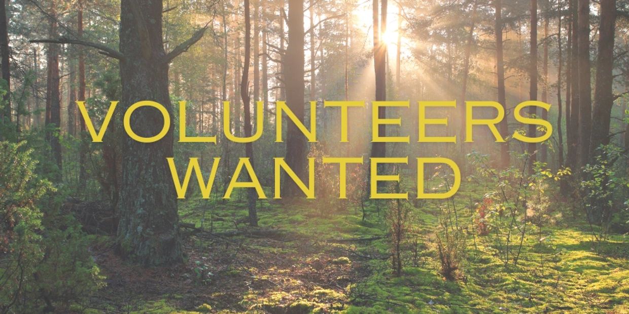 Kayak Community Camp